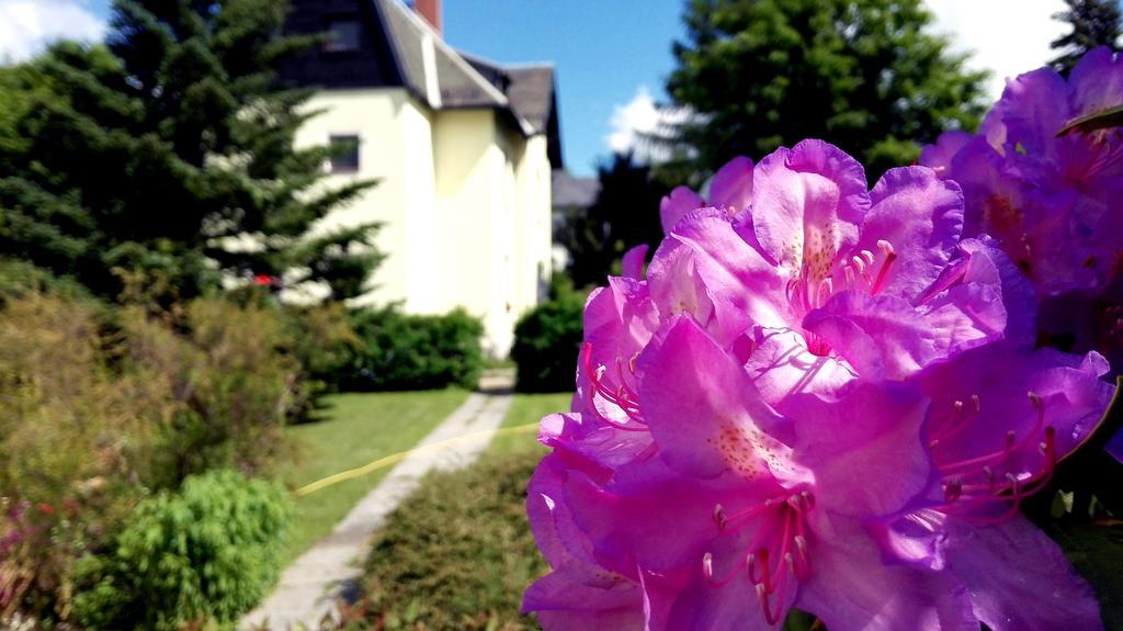 Ferienhotel Augustusburg Εξωτερικό φωτογραφία