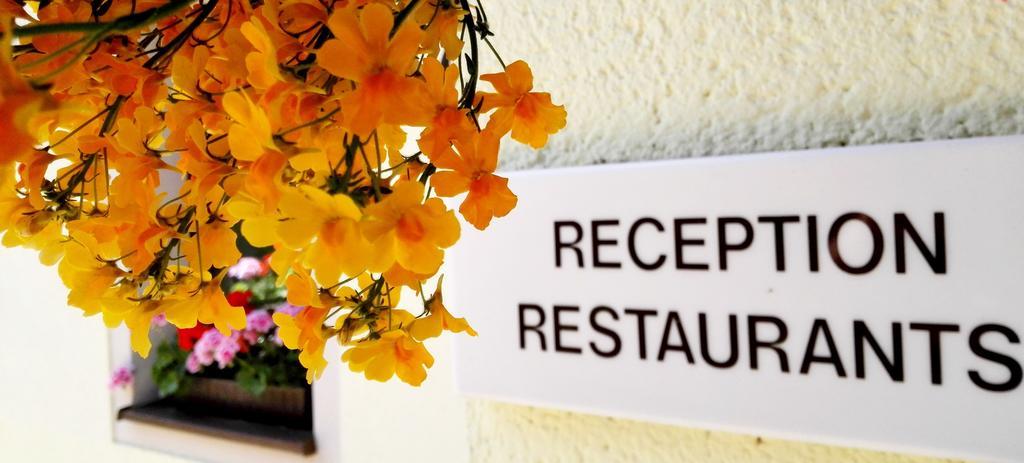 Ferienhotel Augustusburg Εξωτερικό φωτογραφία